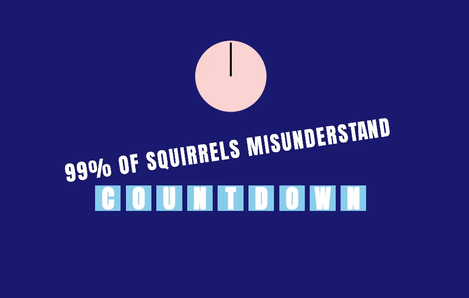 99 Of Squirrels Misunderstand Countdown cover