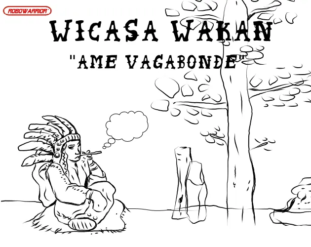 Ame Vagabonde cover