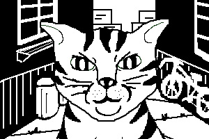 Cat Fight: Showdown in the Alleyway (Twine +Pokemon) cover