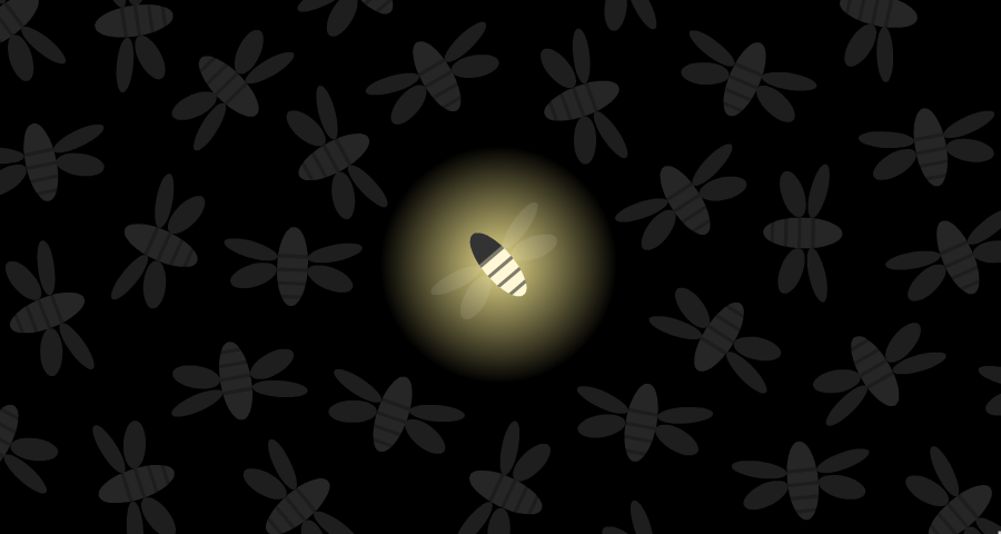 Fireflies cover