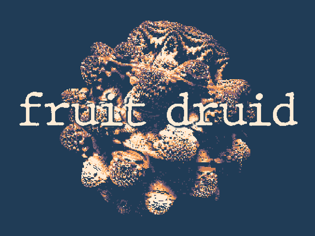 Fruit Druid cover