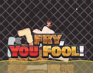 Fry You Fool cover