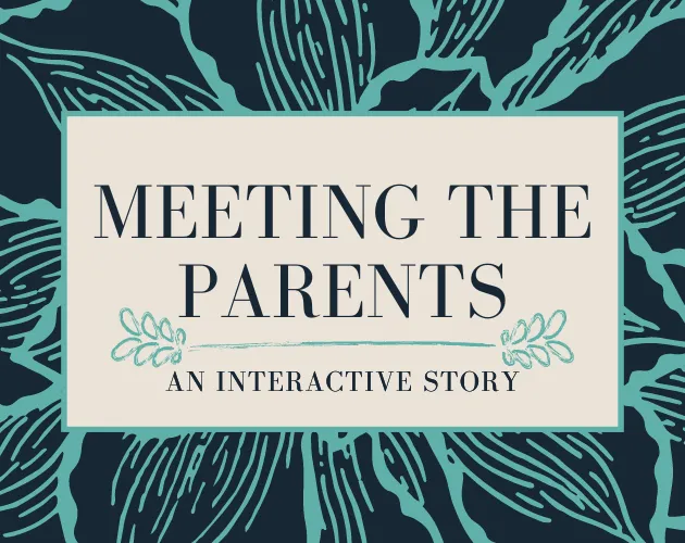 Meeting The Parents cover