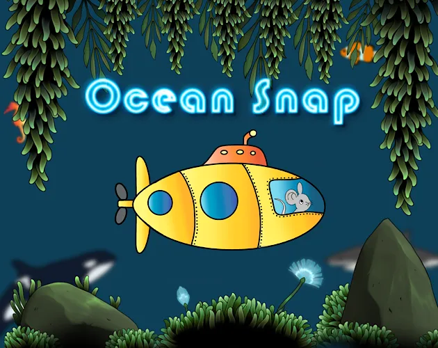 Oceansnap cover