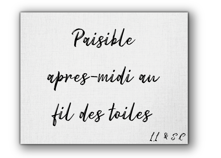 Paisible après-midi au fil des toiles cover