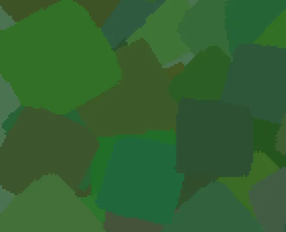 Square Biology cover