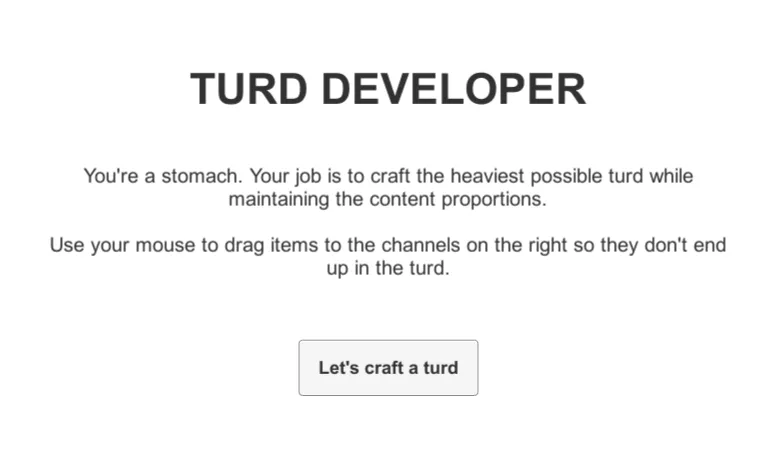 Turd Developer cover