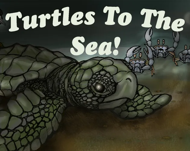 Turtles To The Sea cover
