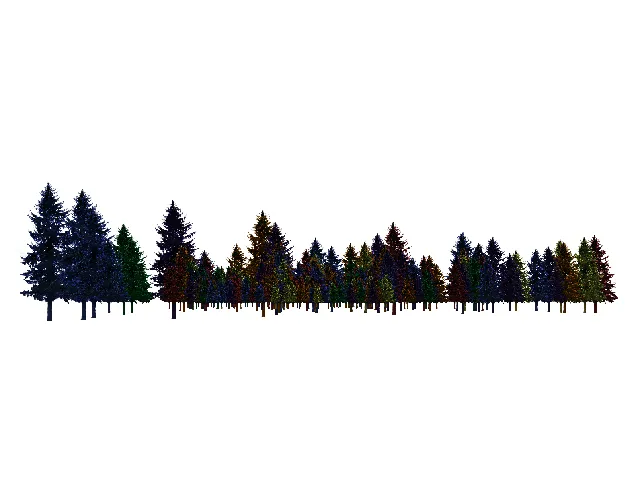 Warp Forest cover